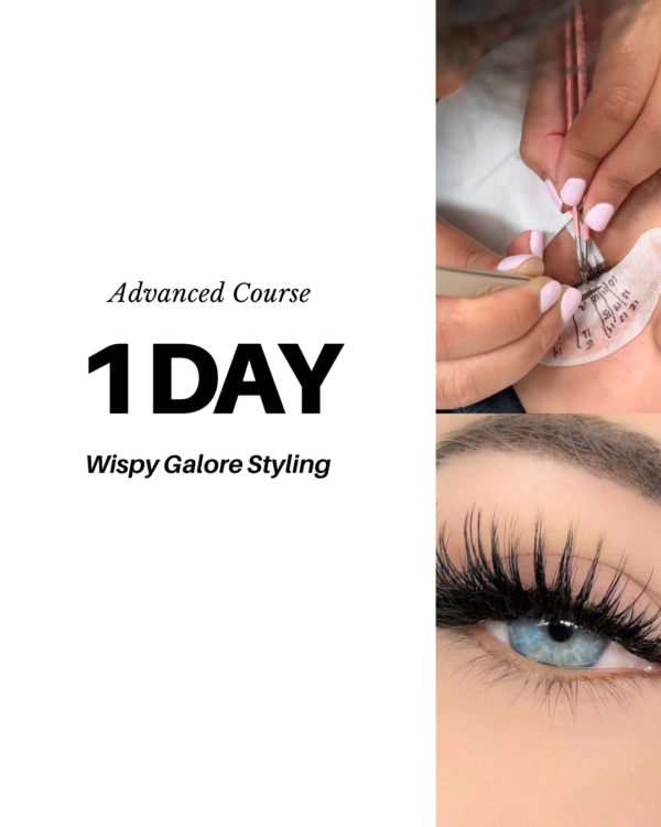 1 Day Advanced Styling Course